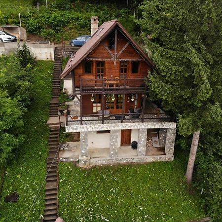 Florile Bucegilor Sinaia Exterior foto