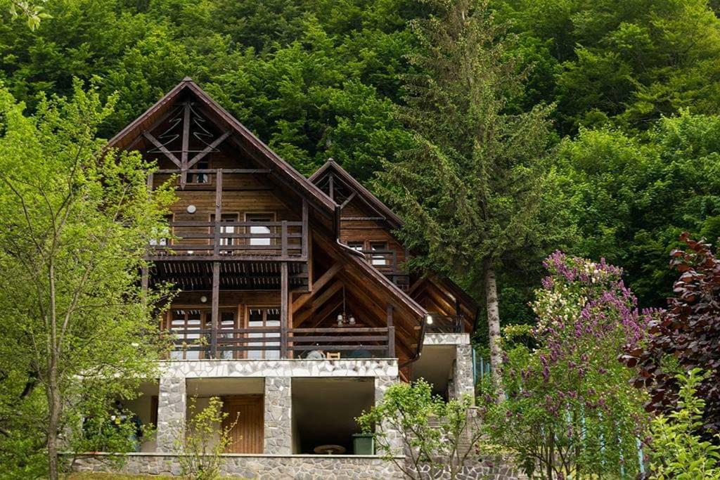 Florile Bucegilor Sinaia Exterior foto