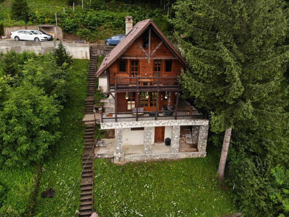 Florile Bucegilor Sinaia Exterior foto