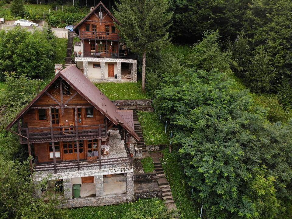 Florile Bucegilor Sinaia Exterior foto