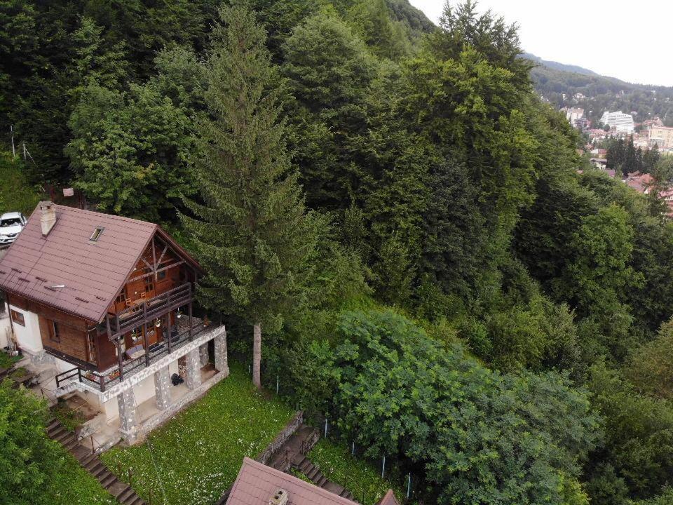 Florile Bucegilor Sinaia Exterior foto